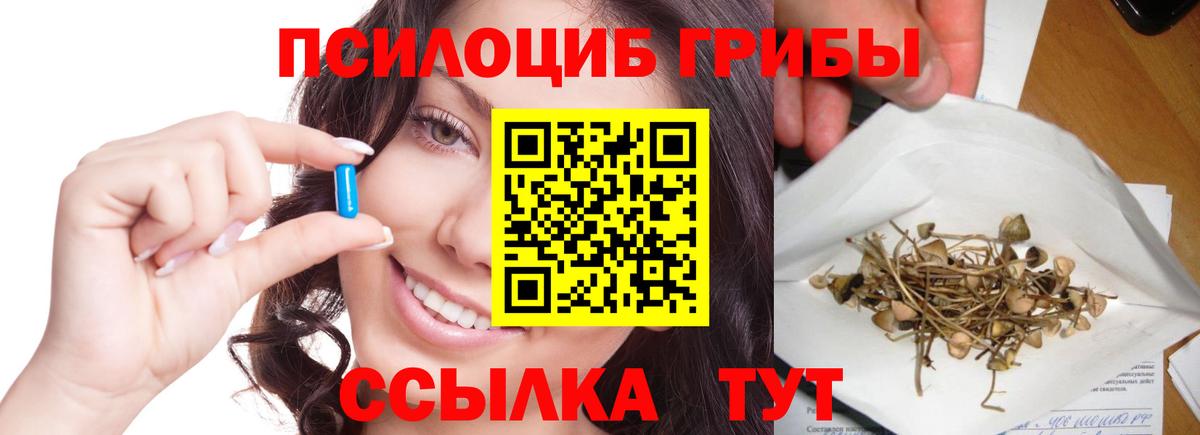 Псилоцибиновые грибы мухоморы Ейск
